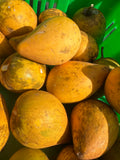 Canistel - a.k.a. eggfruit
