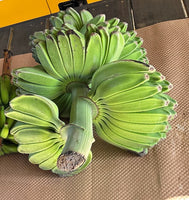Thai Banana (Nam Wah) or Mysore Banana or Ice Cream or Praying Hands