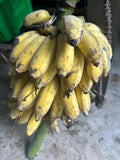 Thai Banana (Nam Wah) or Mysore Banana or Ice Cream or Praying Hands