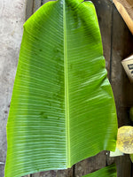 Banana Leaf