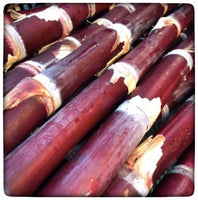 Sugar Cane (Red)